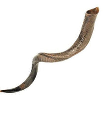 Shofars