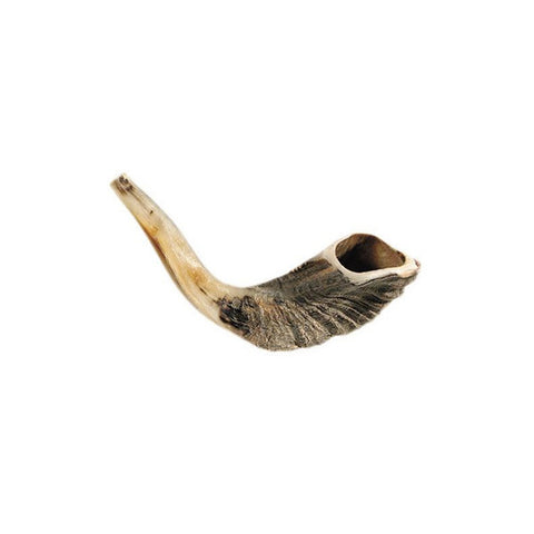 Ram Horn Shofar